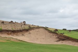 St Andrews Beach 17th Kangaroos 2026